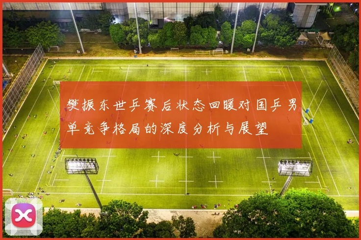 樊振东世乒赛后状态回暖对国乒男单竞争格局的深度分析与展望
